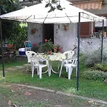 Bosco Fiorito