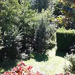 Bosco Fiorito לינה וארוחת בוקר *