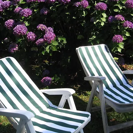Bed & Breakfast Bosco Fiorito *