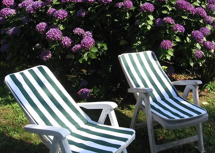 Bed & Breakfast Bosco Fiorito *