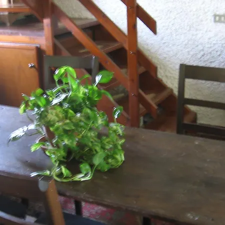 Bosco Fiorito Bed & Breakfast *